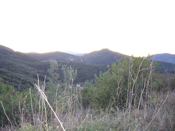 foto macchina fotografica 117.jpg